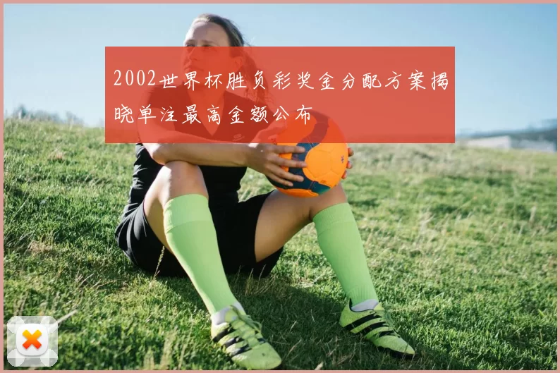 2002世界杯胜负彩奖金分配方案揭晓单注最高金额公布