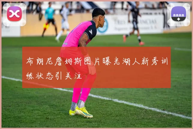 布朗尼詹姆斯图片曝光湖人新秀训练状态引关注