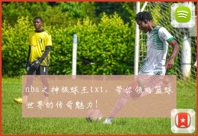 nba之神级球王txt,带你领略篮球世界的传奇魅力!