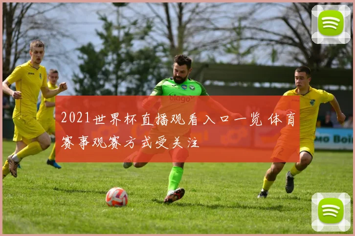 2021世界杯直播观看入口一览 体育赛事观赛方式受关注
